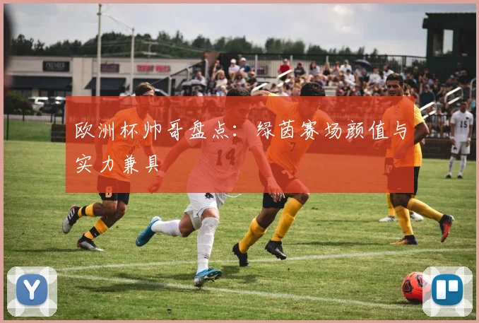 欧洲杯帅哥盘点：绿茵赛场颜值与实力兼具