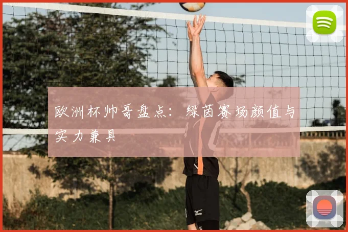 欧洲杯帅哥盘点:绿茵赛场颜值与实力兼具