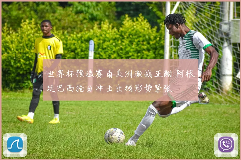 世界杯预选赛南美洲激战正酣 阿根廷巴西抢分冲击出线形势紧张