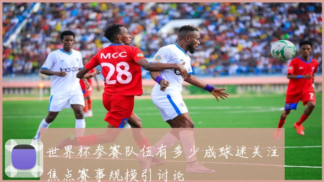 世界杯参赛队伍有多少成球迷关注焦点赛事规模引讨论