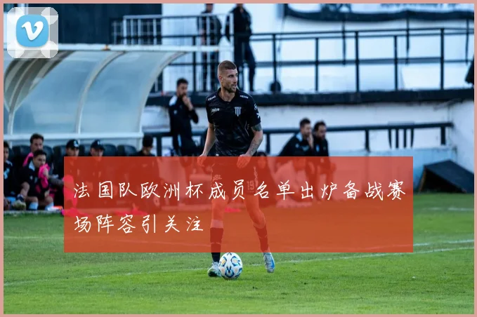 法国队欧洲杯成员名单出炉备战赛场阵容引关注