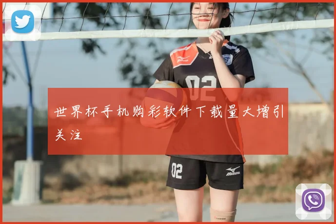 世界杯手机购彩软件下载量大增引关注