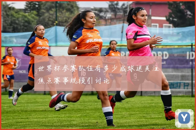 世界杯参赛队伍有多少成球迷关注焦点赛事规模引讨论