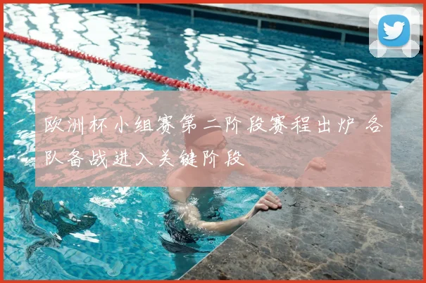 欧洲杯小组赛第二阶段赛程出炉 各队备战进入关键阶段