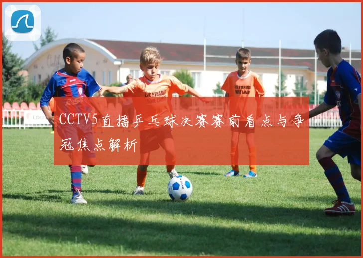 CCTV5直播乒乓球决赛赛前看点与争冠焦点解析