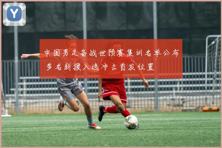 中国男足备战世预赛集训名单公布 多名新援入选冲击首发位置