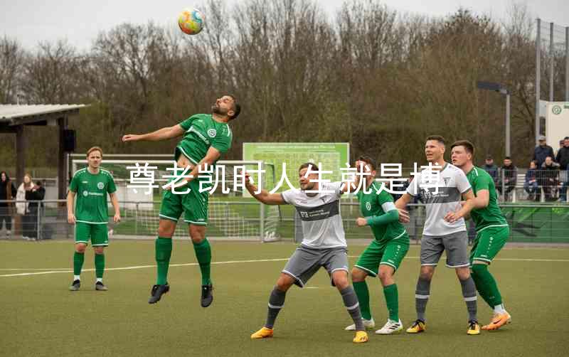 尊老凯时人生就是博