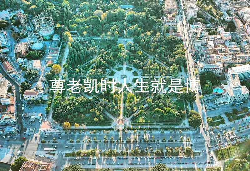 尊老凯时人生就是博