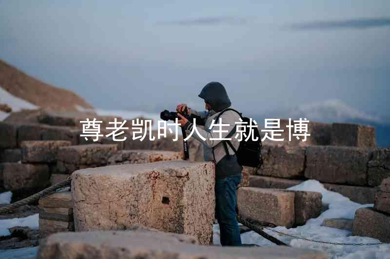 尊老凯时人生就是博